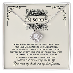 Perfect I am Sorry Gift For Love 2024 - Pure Silver Necklace Gift Set